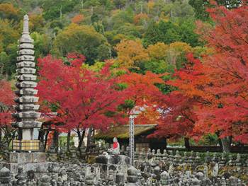 あだし野念仏寺墓地-京都市右京区｜関西霊園情報局