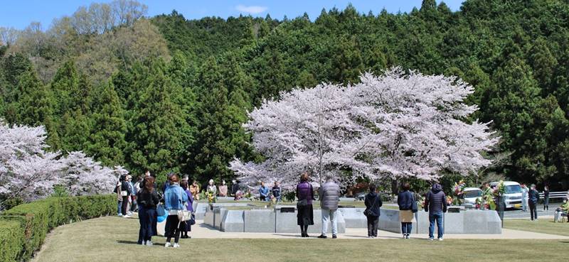 千早赤坂メモリアルパークの永代供養樹木葬