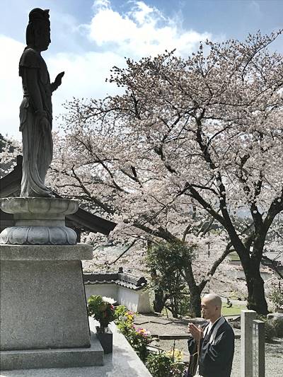 兵庫県丹波市氷上町福田寺の永代供養墓