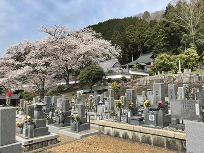 兵庫県丹波市氷上町黄檗宗福田寺墓地