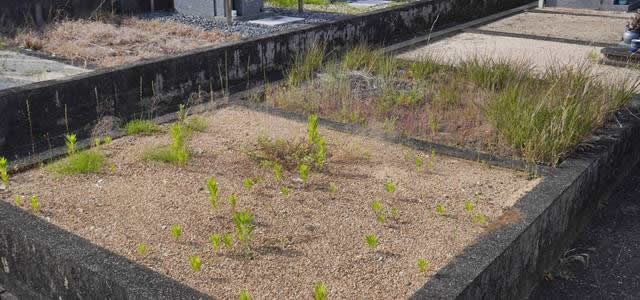 紀の川市にある霊園