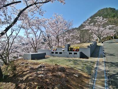 兵庫県猪名川霊園の桜