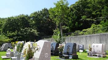 神戸山田霊苑の芝生墓地