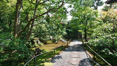 京都市右京区妙心寺養徳院の庭