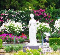 霊山寺霊園隣接のバラ園