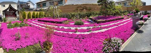 速成寺の庭園樹木葬