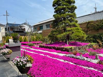 速成寺の庭園樹木葬