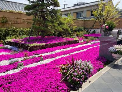 速成寺の庭園樹木葬