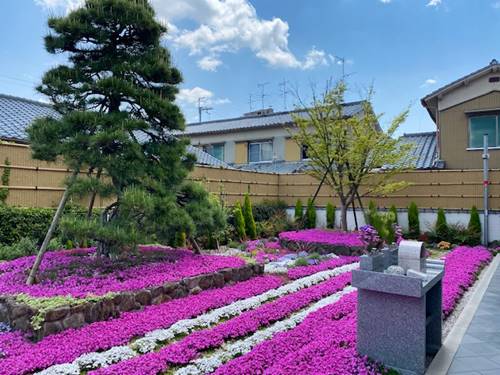 速成寺の庭園樹木葬