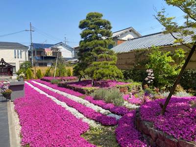 奈良県大和郡山市の速成寺庭園樹木葬