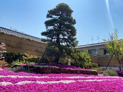 奈良県大和郡山市の速成寺庭園樹木葬