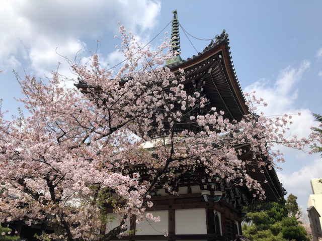 本法寺の塔